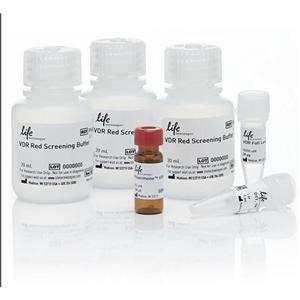人抗酒石酸酸性磷酸酶(TRAP)Elisa试剂盒