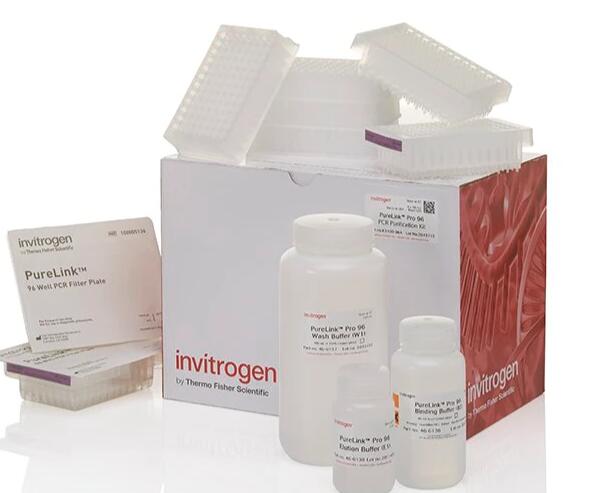 大拟片形吸虫染料法荧光定量PCR试剂盒,Fasciola magna