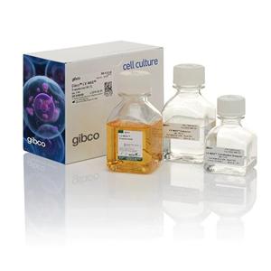 猫细小病毒（猫泛白细胞减少症、猫瘟）染料法荧光定量PCR试剂盒
