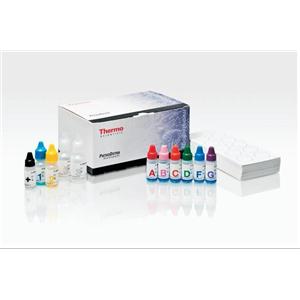 紫苏叶探针法PCR鉴定试剂盒