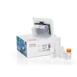紧密着色霉染料法荧光定量PCR试剂盒