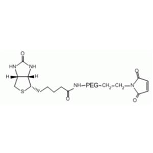 生物素聚乙二醇马来酰亚胺,Biotin-PEG-MAL;Biotin-PEG-Maleimide