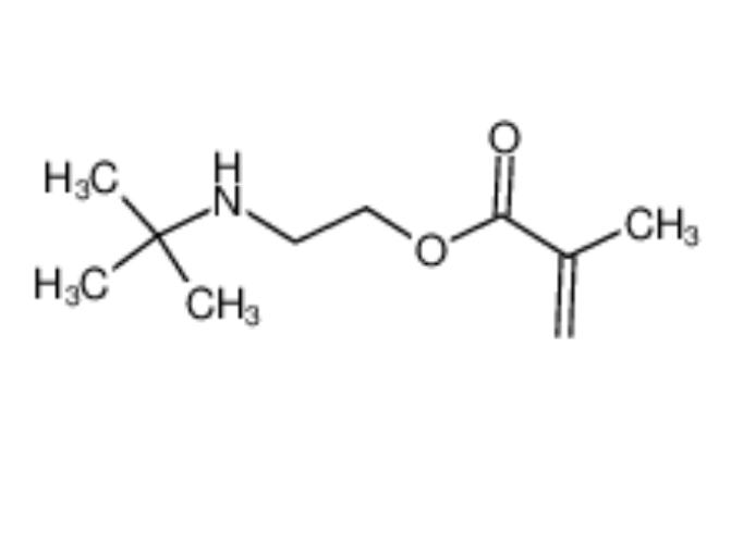 2-(叔丁基氨基)甲基丙烯酸乙酯,2-(TERT-BUTYLAMINO)ETHYL METHACRYLATE