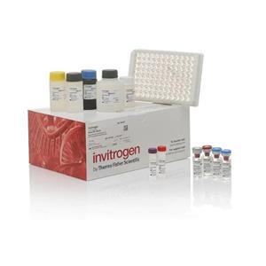 口蹄疫病毒C亚型探针法荧光定量RT-PCR试剂盒