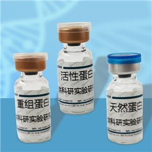 细胞程序性死亡蛋白5(PDCD5)重组蛋白,Recombinant Programmed Cell Death Protein 6 (PDCD6)