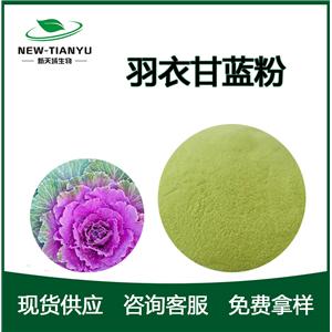 羽衣甘藍提取物,Kale extract