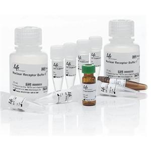 胞浆异柠檬酸脱氢酶（ICDHc）试剂盒