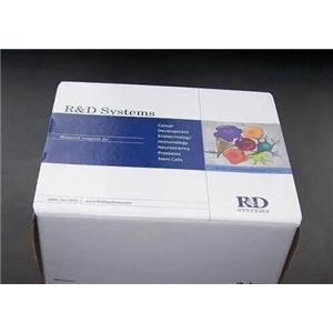 丙酮酸磷酸双激酶（PPDK)试剂盒
