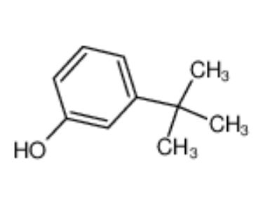 3-叔丁基苯酚,3-tert-Butylphenol