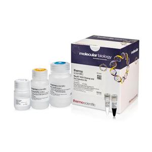 羟甲基戊二酰辅酶A合成酶（HMGCS）试剂盒