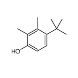 (1,1-二甲基乙基)二甲基苯酚,4-tert-butyl-2,3-dimethylphenol