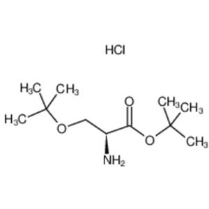 O-叔丁基-L-丝氨酸叔丁酯 盐酸盐,O-tert-Butyl-L-serine tert-butyl ester hydrochloride