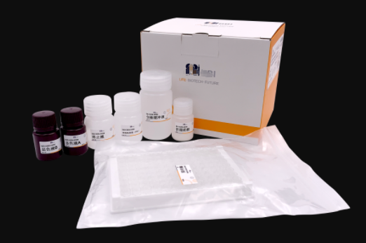 大鼠乙酰化刺激蛋白(ASP)Elisa试剂盒,ASP