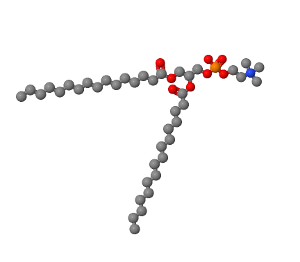 二棕櫚酸磷脂酰膽堿,1,2-DIPALMITOYL-SN-GLYCERO-3-PHOSPHOCHOLINE