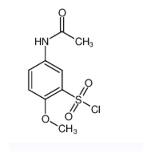 5-乙酰氨基-2-甲氧基苯磺酰氯,5-Acetylamino-2-methoxybenzenesulfonyl chloride