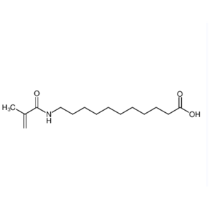 11-(甲基丙烯酰氨基)十一酸,11-(METHACRYLOYLAMINO)UNDECANOIC ACID