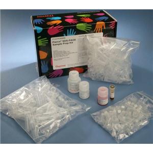 耐久肠球菌PCR试剂盒