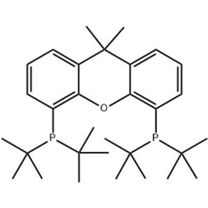 4,5-双(二叔丁基膦)-9,9-二甲基氧杂蒽,9,9-Dimethyl-4,5-bis(di-tert-butylphosphino)xanthene