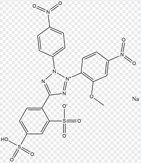 2-(2-甲氧基-4-硝基苯)-3-(4-硝基苯)-5-(2,4-二磺基苯)-2H-四氮唑单钠盐,2-(2-Methoxy-4-nitrophenyl)-3-(4-nitrophenyl)-5-(2,4-disulfophenyl)-2H-tetrazolium sodium salt