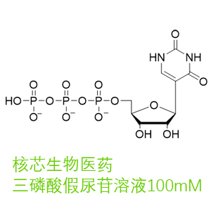 三磷酸假尿苷,pseudo UTP