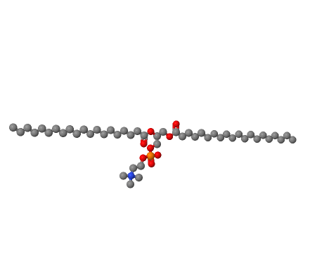 1,2-花生酰基卵磷脂,1,2-DIEICOSANOYL-SN-GLYCERO-3-PHOSPHOCHOLINE