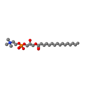 17364-16-8；	1-十六酰-SN-丙三醇-磷酸胆碱