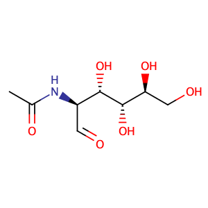 肠多糖,N-Acetyl-D-glucosamine