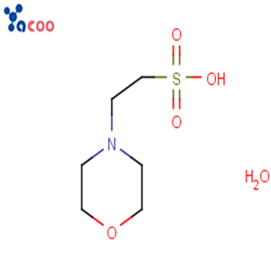 2-(N-吗啉)乙磺酸一水合物( MES·H2O）,2-Morpholinoethanesulfonic acid, monohydrate