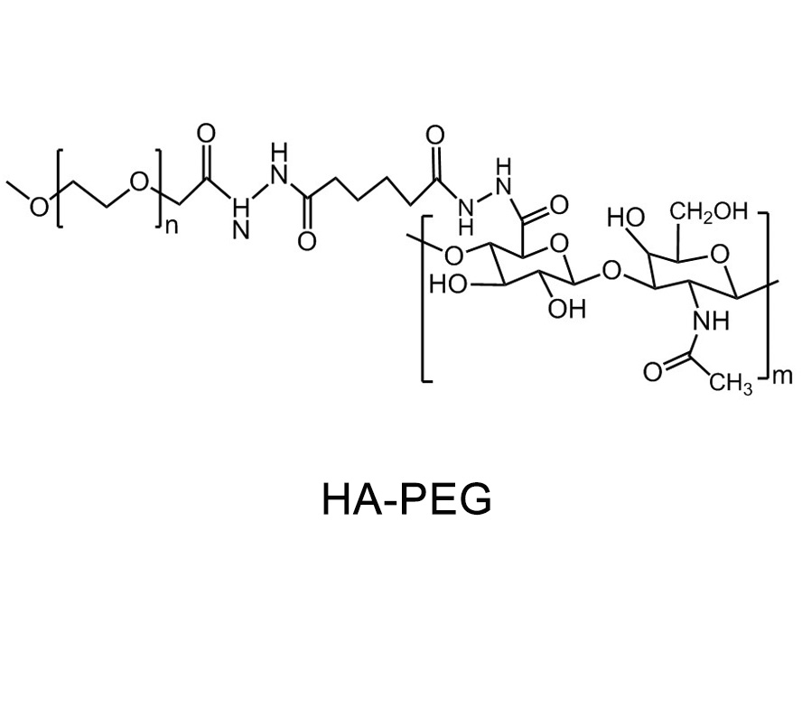 透明质酸聚乙二醇,HA-PEG