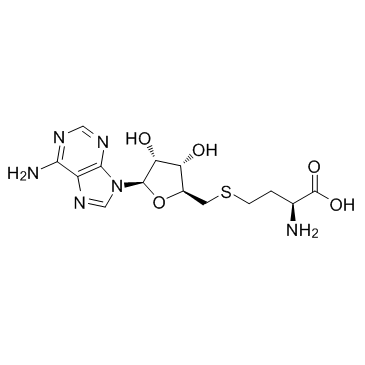 S-(5'-腺苷)-L-高半胱氨酸,S-adenosyl-L-homocysteine