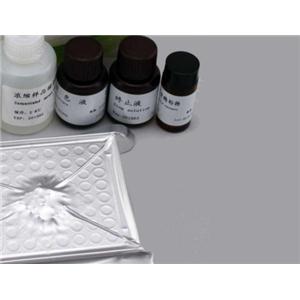 犬白细胞介素10(IL-10)Elisa试剂盒