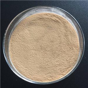 食品酵母粉,Yeast Powder