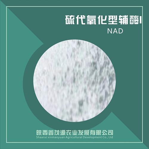 硫代氧化型輔酶I,Thiooxidative coenzyme I