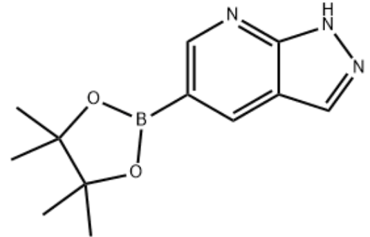 1H-吡唑并[3,4-B]吡啶-5-硼酸频那醇酯,1H-Pyrazolo[3,4-b]pyridine-5-boronicacidpinacolester