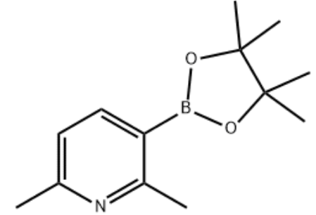 2,6-二甲基-3-吡啶硼酸片呐酯,2,6-Dimethylpyridine-3-boronicacidpinacolester