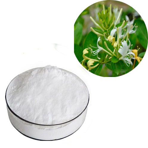 金银花提取物,HoneySuchle Flowers Extract