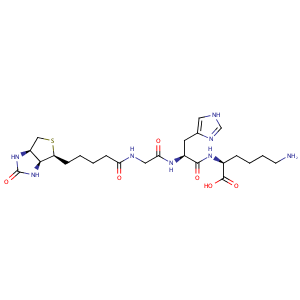 生物素三肽-1,Biotinyl-GHK tripeptide