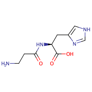 肌肽,L-Carnosine