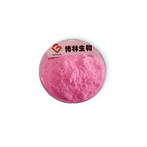 红心火龙果果粉,Red pitaya fruit powder