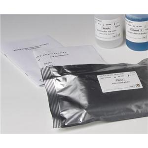 人可溶性Endoglin(ENG/sCD105)Elisa试剂盒