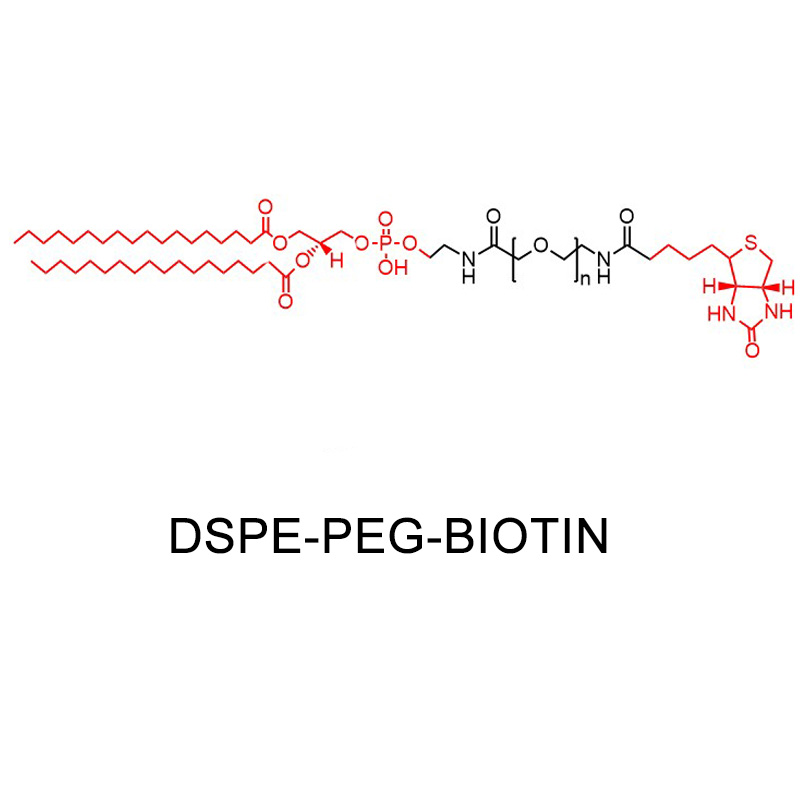 二硬脂?；字Ｒ掖及?聚乙二醇-生物素,DSPE-PEG-Biotin