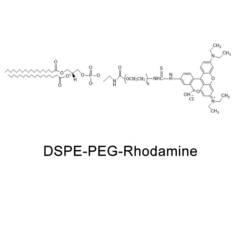 二硬脂酰基磷脂酰乙醇胺-聚乙二醇-罗丹明,DSPE-PEG-RB