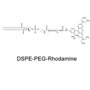 二硬脂酰基磷脂酰乙醇胺-聚乙二醇-罗丹明