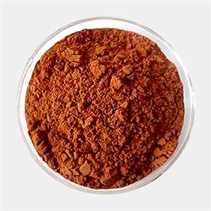 玫瑰果提取物,Rosehip extract