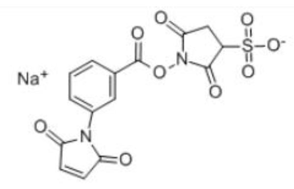 m-马来酰亚胺苯甲酸琥珀酰亚胺酯,m-Maleimidobenzoyl-N-hydroxysulfosuccinimideester(Sulfo-MBS)