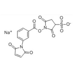 m-马来酰亚胺苯甲酸琥珀酰亚胺酯,m-Maleimidobenzoyl-N-hydroxysulfosuccinimideester(Sulfo-MBS)