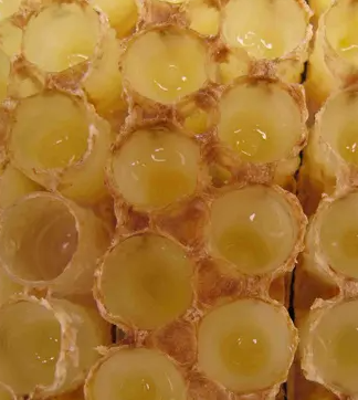 蜂王浆,Royal Jelly