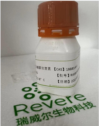 链脲佐菌素,Streptozotocin