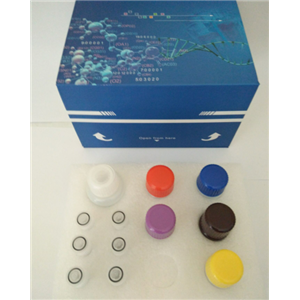 大鼠钙调素(CAM)Elisa试剂盒