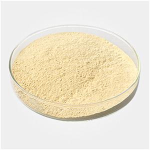 硫化黄9,SulphurYellow9